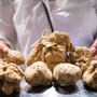 Terra Madre, lavoro e tartufo al centro degli incontri del 26 settembre Terra Madre, lavoro e tartufo al centro degli incontri del 26 settembre
