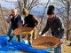 La battitura delle castagne a Bagneri, quest'anno a Cascina Nisina
