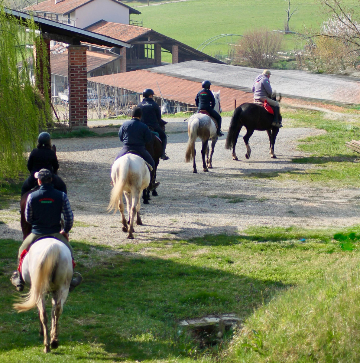 Natura, cavallo e uomo: a Salussola protagonisti gli studenti del Bona