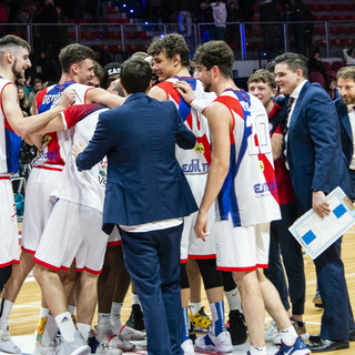 basket