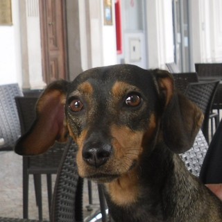 Velosystem, la biomeccanica applicata al ciclismo