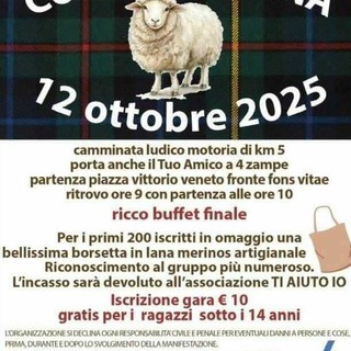 Corsa della Lana a Biella, alla prima edizione