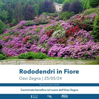 Una passeggiata tra i rododendri in fiore all'Oasi Zegna per sostenere il progetto &quot;Arcipelago&quot;
