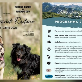 Cani salvati e adottati, a Sandigliano il primo grande raduno dei rescue
