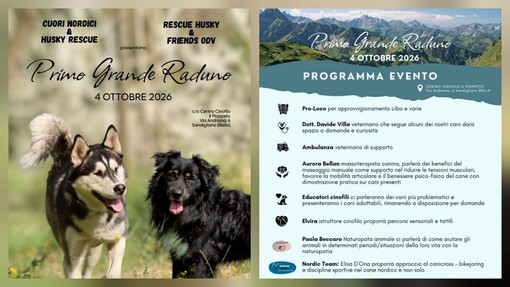 Cani salvati e adottati, a Sandigliano il primo grande raduno dei rescue Cani salvati e adottati, a Sandigliano il primo grande raduno dei rescue