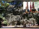 Biella, Lega: "Più controlli ai Giardini Zumaglini con la vigilanza rafforzata"