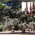 Biella, Lega: "Più controlli ai Giardini Zumaglini con la vigilanza rafforzata"