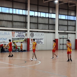 pallamano vigliano