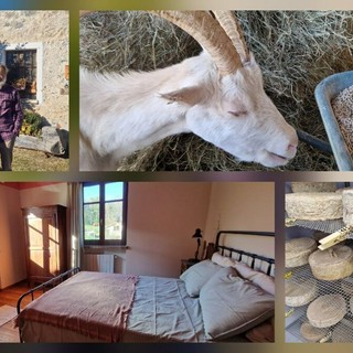 Tra le colline di Sagliano Cà d’Andrei racconta il Biellese più autentico FOTO e VIDEO