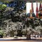 Biella, Lega: "Più controlli ai Giardini Zumaglini con la vigilanza rafforzata" Biella, Lega: "Più controlli ai Giardini Zumaglini con la vigilanza rafforzata"