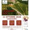 Ecotrail del Lessona DOC, già quasi 200 iscritti per la prima edizione, domenica si corre Ecotrail del Lessona DOC, già quasi 200 iscritti per la prima edizione, domenica si corre