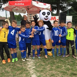 Calcio: I Pulcini di Cossato trionfano a Vercelli e in Svizzera