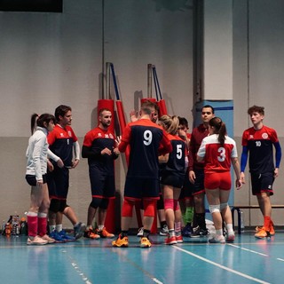 pallavolo vigliano