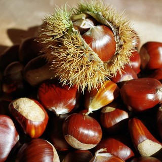 Castagnata, truccabimbi, musica: Vigliano saluta l’arrivo dell’autunno (foto di repertorio)