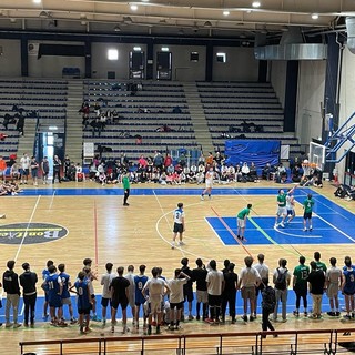 basket biella