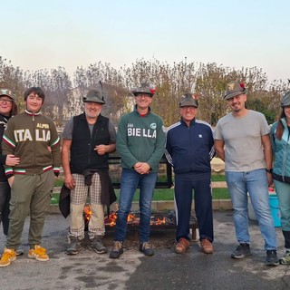 zimone castagnata zimone castagnata