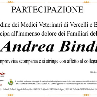 Andrea Bindi - Partecipazione