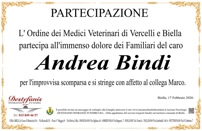 Andrea Bindi - Partecipazione