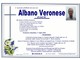 Albano Veronese