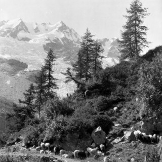 Primavera nelle foto d'archivio: la lezione della montagna  - Copyright Fondazione Sella 2026