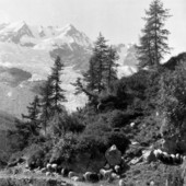 Primavera nelle foto d'archivio: la lezione della montagna - Copyright Fondazione Sella 2026 Primavera nelle foto d'archivio: la lezione della montagna - Copyright Fondazione Sella 2026