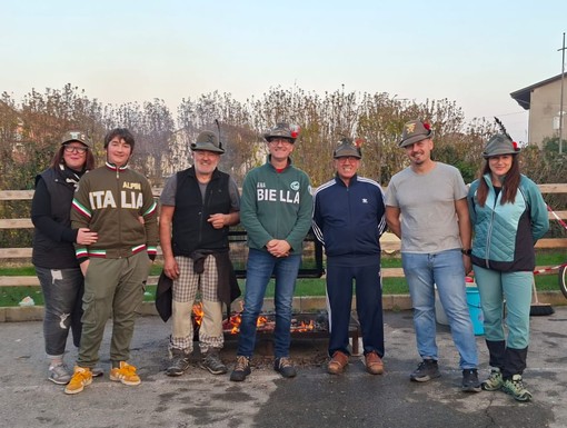 zimone castagnata zimone castagnata