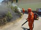 Netro, fiamme a pochi passi da case e serbatoi di GPL Netro, fiamme a pochi passi da case e serbatoi di GPL