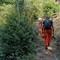 Incendi in Valsesia, AIB biellesi impegnati nella bonifica