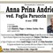 Anna Prina Andrietta, ved. Foglia Paruccin Anna Prina Andrietta, ved. Foglia Paruccin