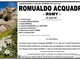Romualdo Acquadro - Romy -