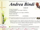 Andrea Bindi
