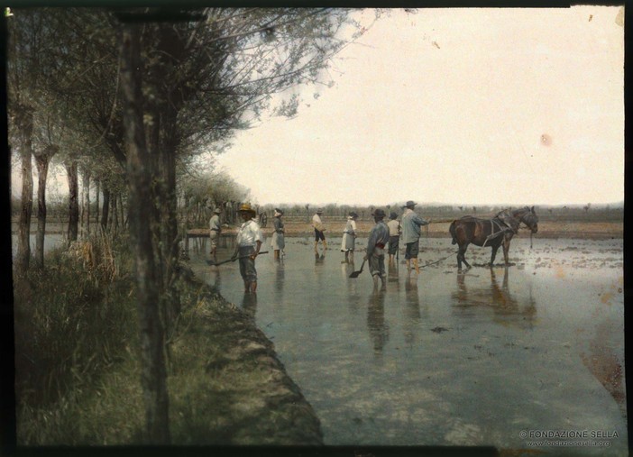 Foto d’archivio e le risaie del Vercellese: un passato a colori – Copyright Fondazione Sella 2024.