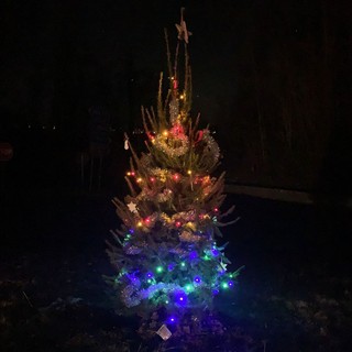 A Ronco Biellese rubato l’albero di Natale - Foto Carla Moglia