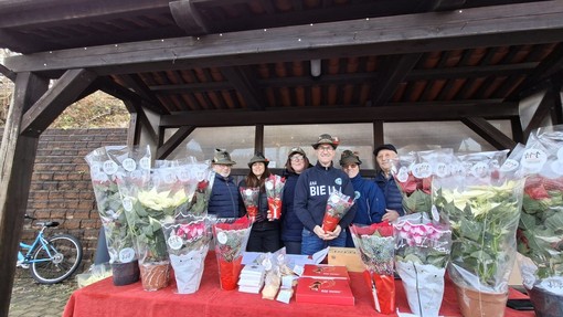 stelle natale stelle natale