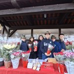 stelle natale stelle natale