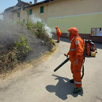 Netro, fiamme a pochi passi da case e serbatoi di GPL Netro, fiamme a pochi passi da case e serbatoi di GPL