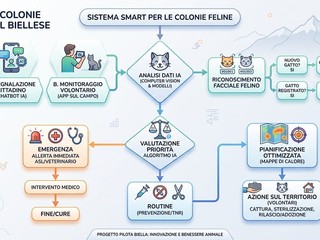 Funzionamento dell'algoritmo per la creazione di un osservatorio per la tutela delle colonie feline.