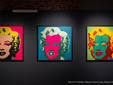 Andy Warhol a Biella: la mostra Pop Art &amp; Textiles tra opere iconiche e tessuti inediti