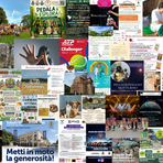Tante cose da fare a Biella nel we del 18, 19 e 20 settembre Tante cose da fare a Biella nel we del 18, 19 e 20 settembre