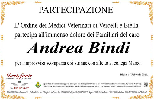 Andrea Bindi - Partecipazione