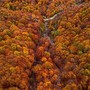 Autunno in Oasi Zegna: colori, profumi, sentieri da attraversare Autunno in Oasi Zegna: colori, profumi, sentieri da attraversare