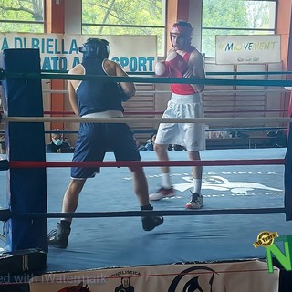 Boxe, 10 incontri oggi alla Rivetti per ricordare Alessandro Messina -Foto Alessandro Bozzonetti per newsbiella.it Boxe, 10 incontri oggi alla Rivetti per ricordare Alessandro Messina -Foto Alessandro Bozzonetti per newsbiella.it
