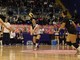 Tutto pronto per la 13ᵃ edizione del "BearWoolVolley" con 109 squadre al via