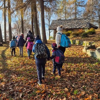 Netro: Il Bosco delle Fate fa scuola in biblioteca