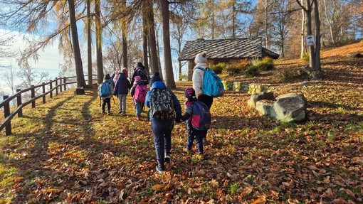 Netro: Il Bosco delle Fate fa scuola in biblioteca