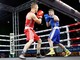 Torna Boxe sotto le Stelle: Boxing Club Biella si prepara all'estero.