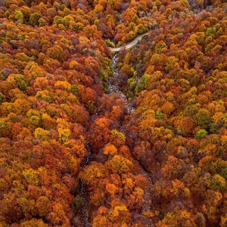Autunno in Oasi Zegna: colori, profumi, sentieri da attraversare