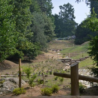 Ex trattoria della Burcina verso il rilancio: due offerte per la concessione