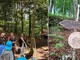 Netro, oltre 100 persone all’inaugurazione del Bosco delle Fate Netro, oltre 100 persone all’inaugurazione del Bosco delle Fate
