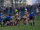 Rugby - Per gli Orsi insidiosa trasferta a Sondrio